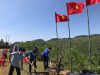 Ông Lương Đình Tiên, Chủ tịch UBND huyện Vân Canh chính giữa trồng cây hoa đào tại xã Canh Liên