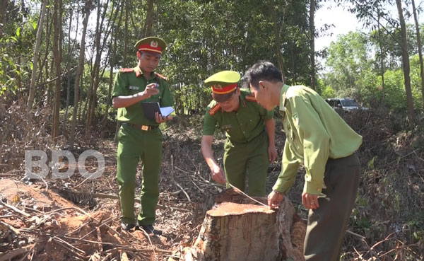 Công an huyện Vân Canh tích cực tham gia bảo vệ rừng