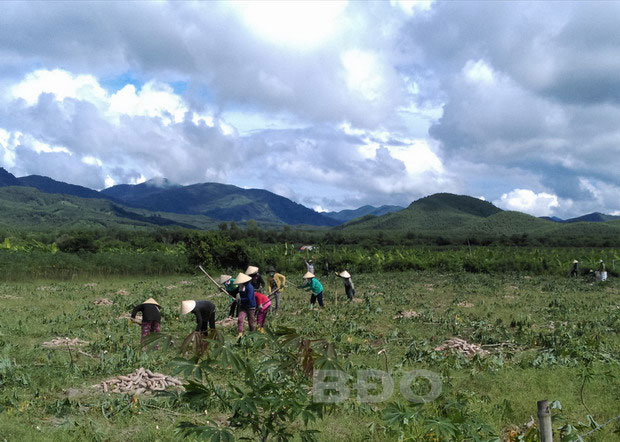 Đồng bào Bana ở huyện Vân Canh thường giúp nhau công lao động để xuống giống, chăm sóc cây trồng.