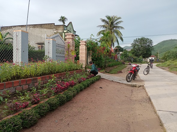 Duong qua lang Ha Van Tren, xa Canh Thuan  duoc trong hoa va cay canh rat dep mat